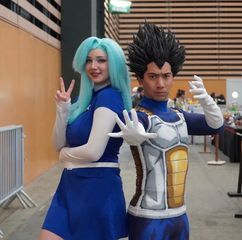 Bulma preview 3