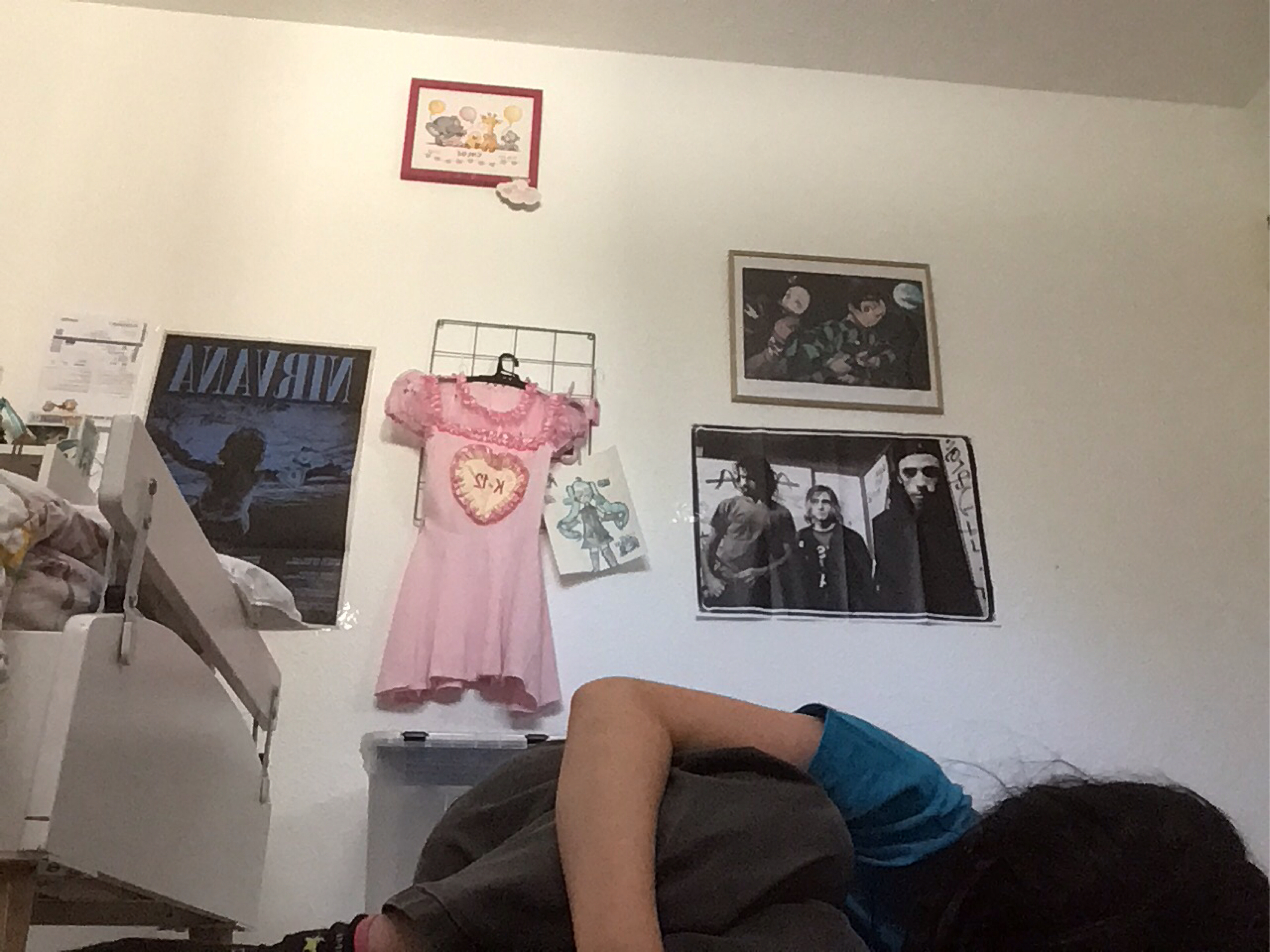 Finx — photo 6