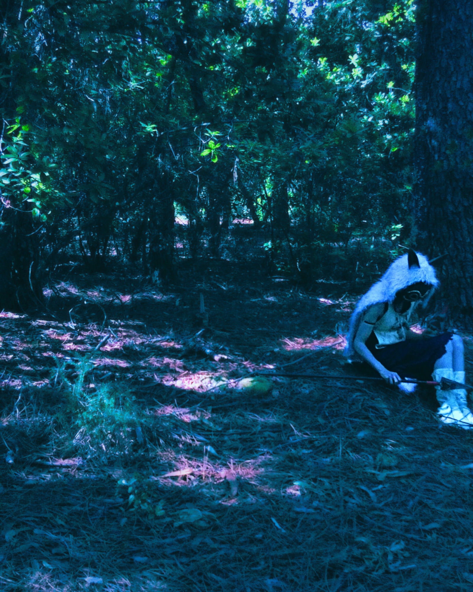 Princess Mononoke — photo 15