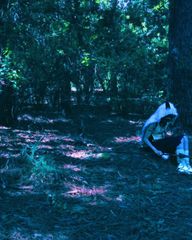 Princess Mononoke preview 2