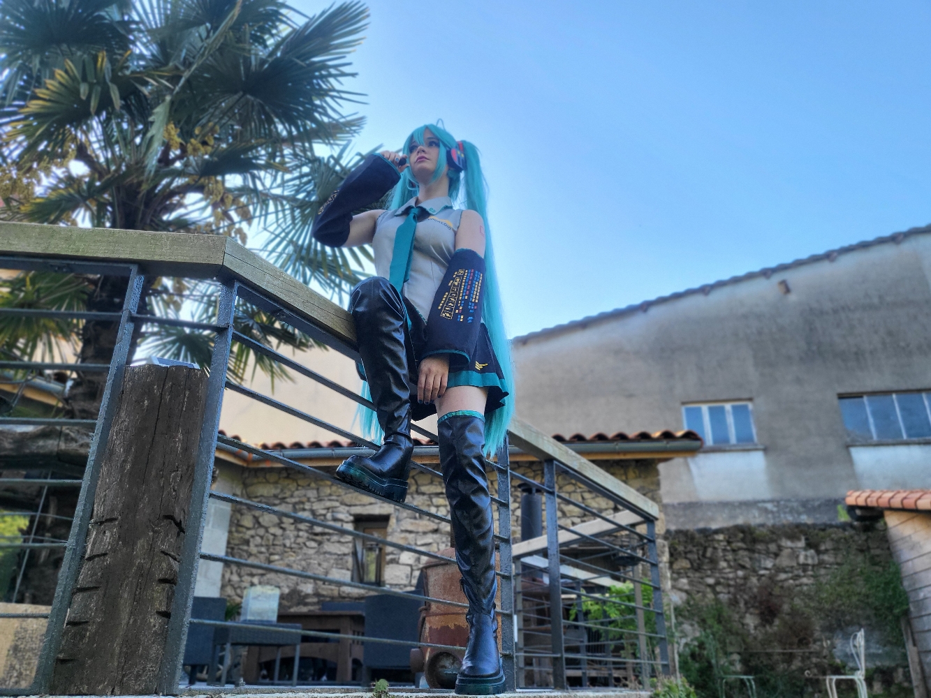 Miku — photo 5