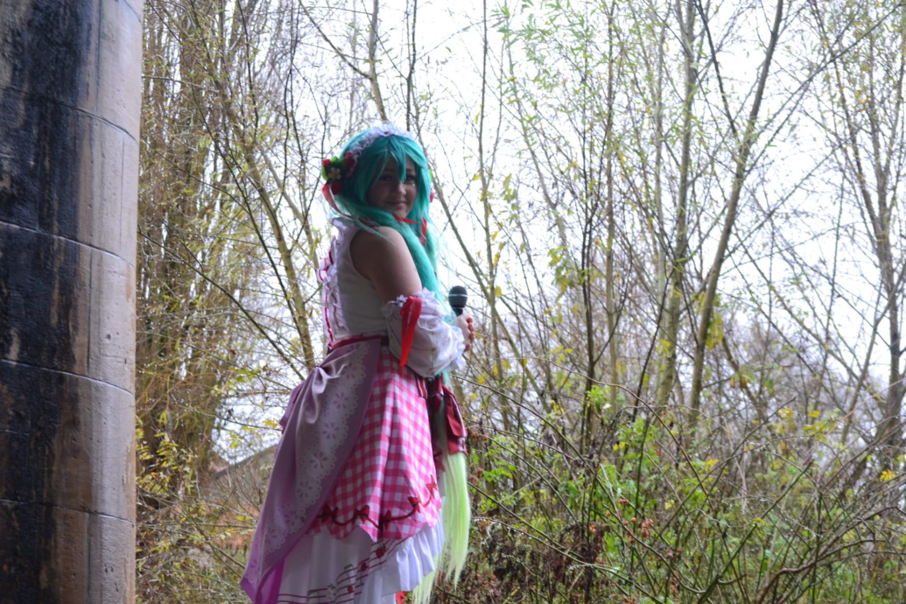 Miku strawberry — photo 8