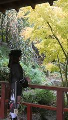 Hu tao ⛩️👻 preview 3