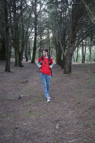 _s1lent_ech0splay - Ellie TLOU forest