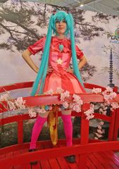 Miku wxs preview 2