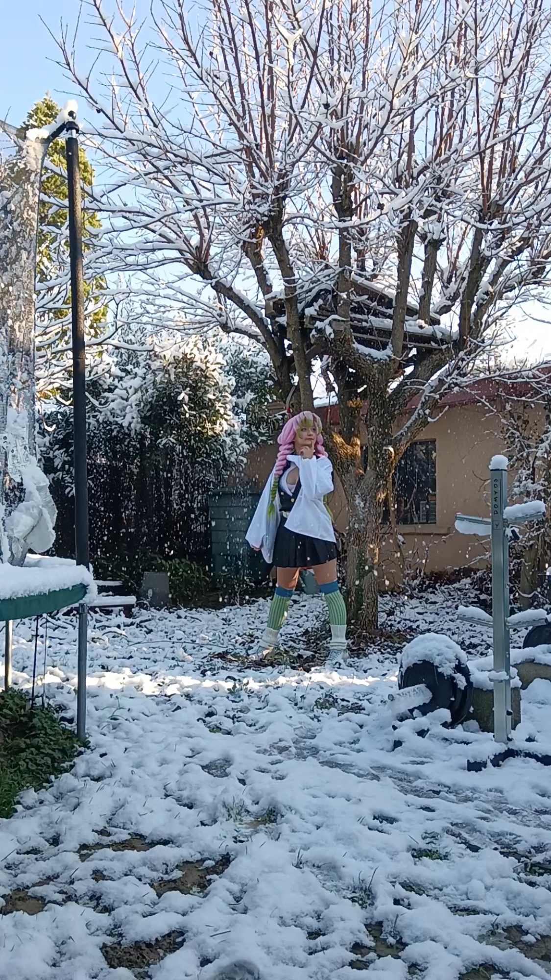 Mitsuri Kanroji - Photo 44