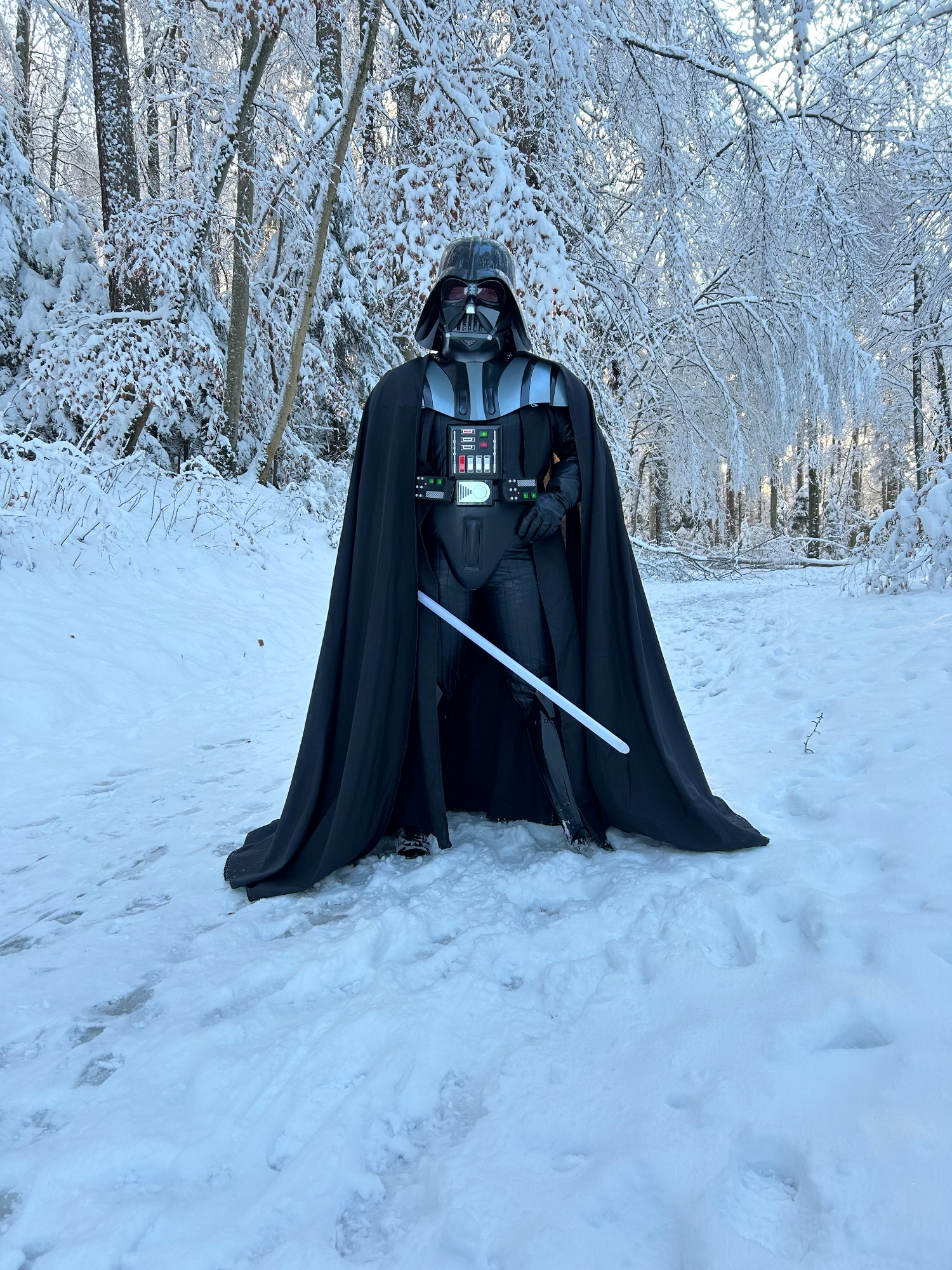 Snow Vader — photo 47