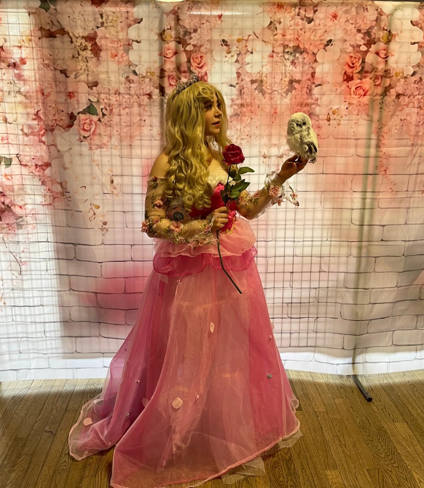 Princesse Aurore - Photo 4