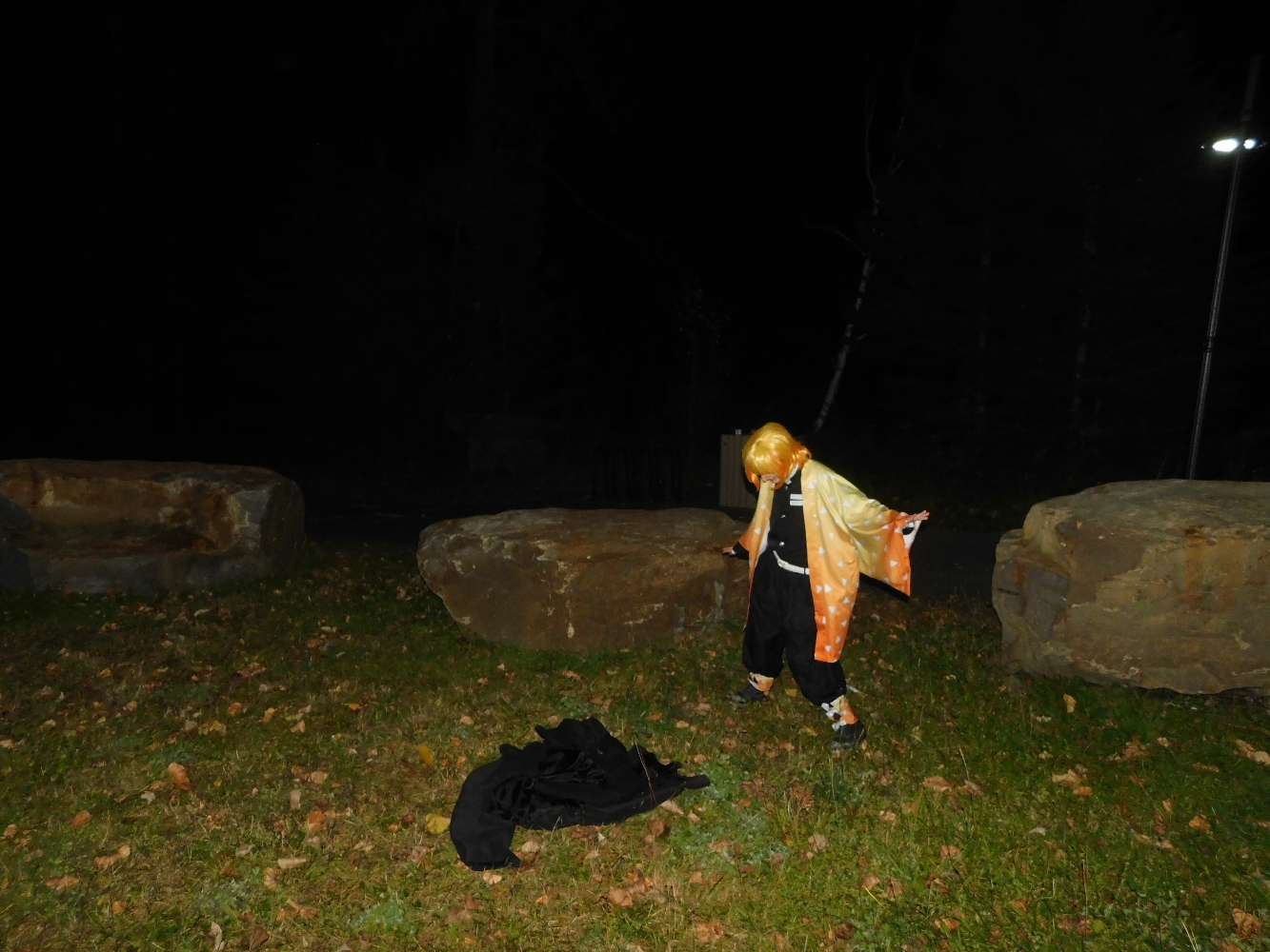 Night Zenitsu — photo 13