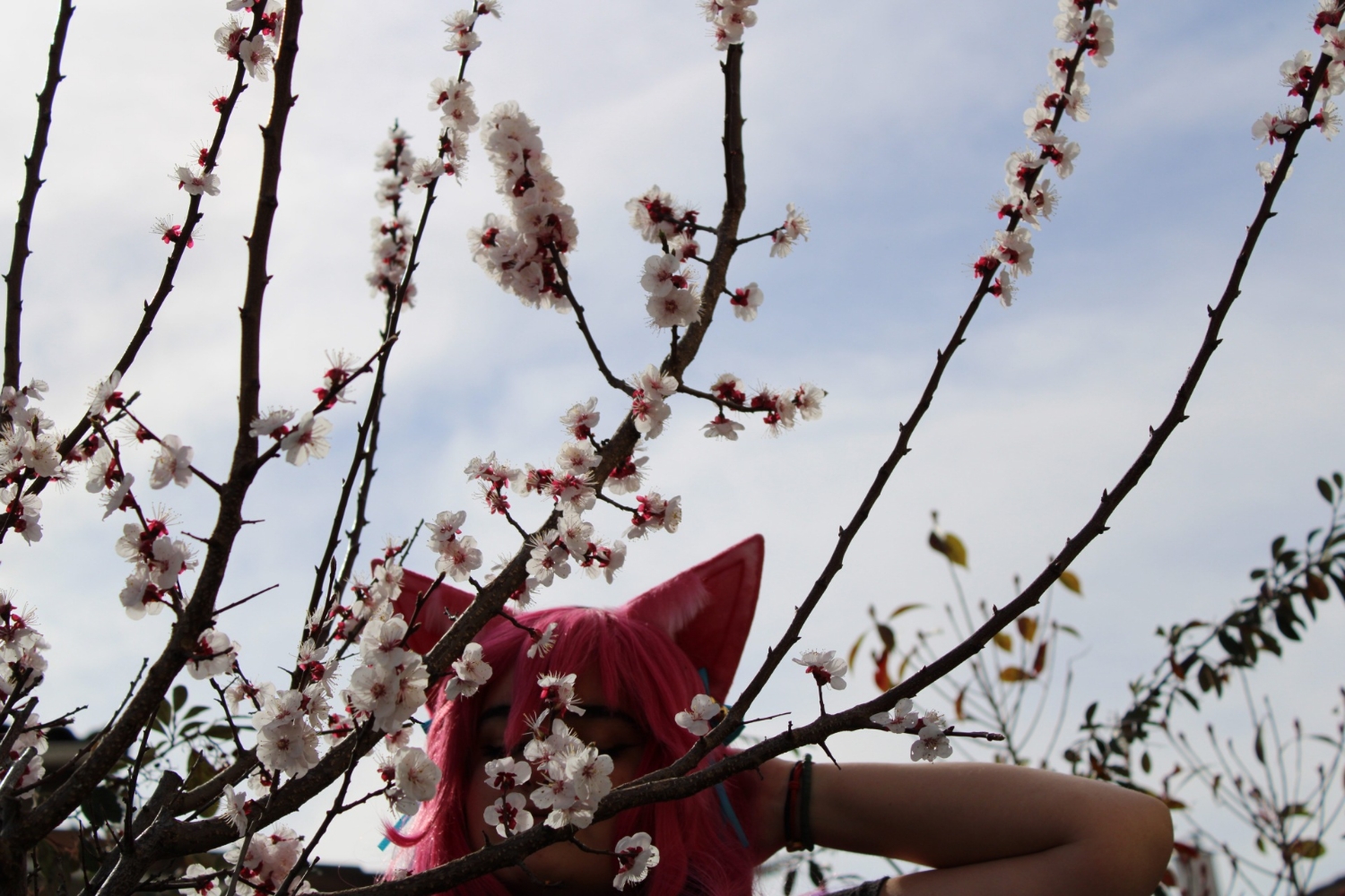 Ahri spirit blossom — photo 8