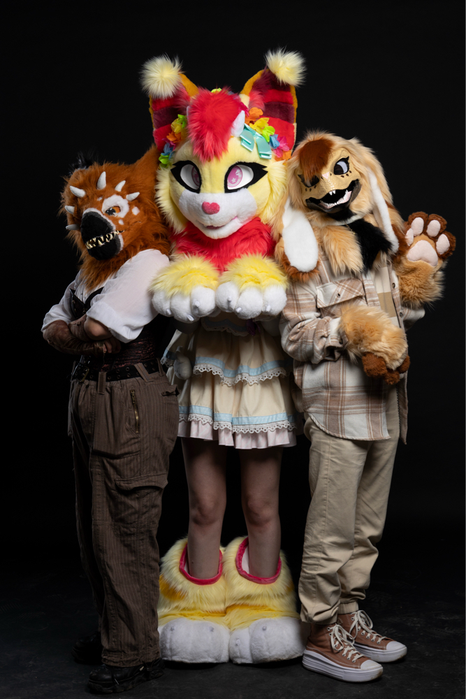 Photos Tapioca - Photo 33