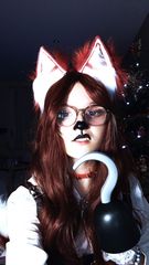 Foxy preview 2