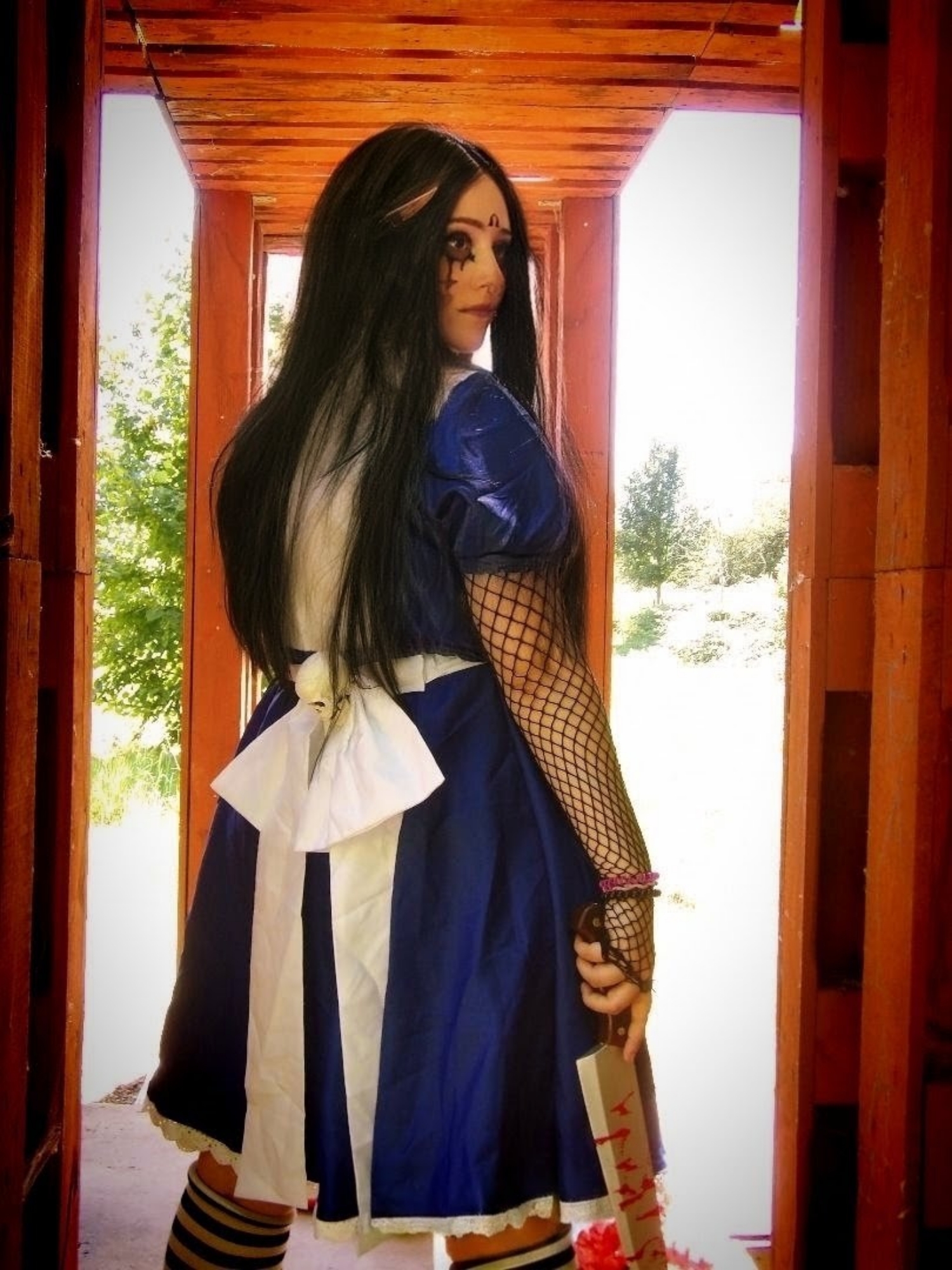 Alice madness return — photo 8