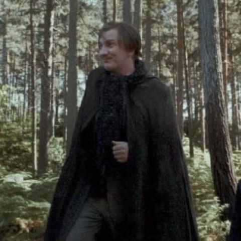 Remus lupin