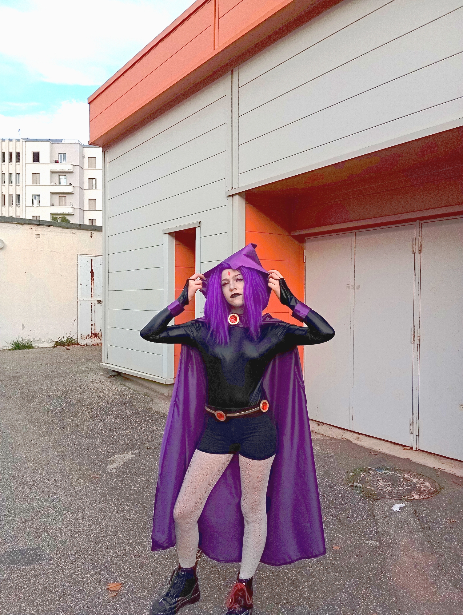 Raven — photo 9