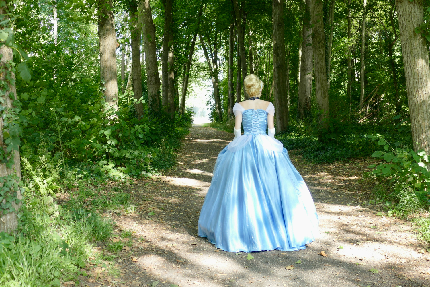 Cendrillon - Photo 41