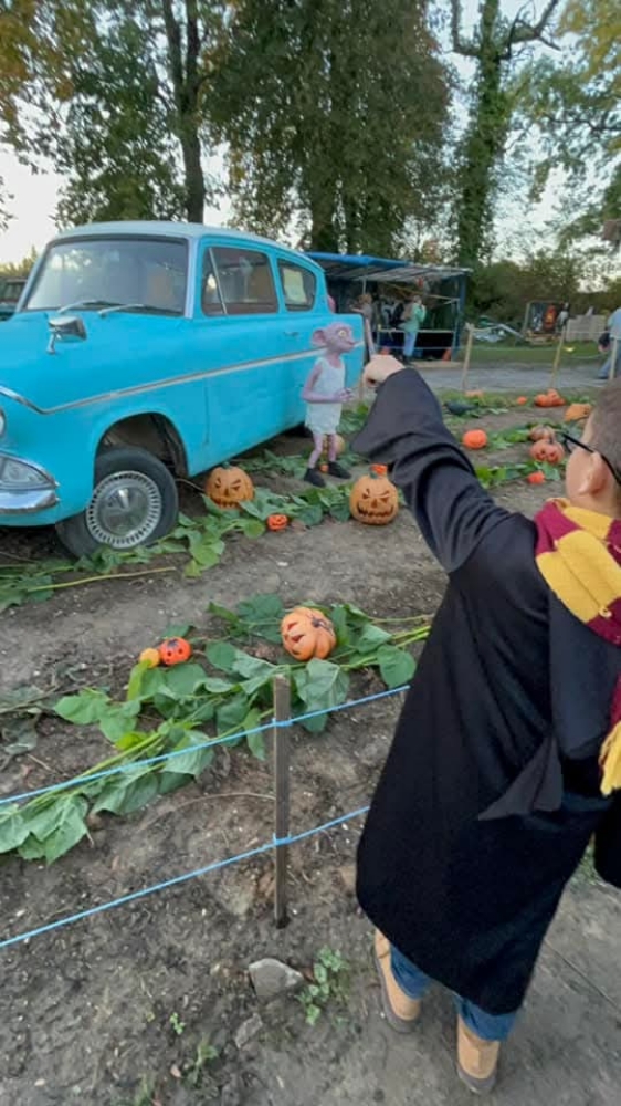 Harry potter  - Photo 11