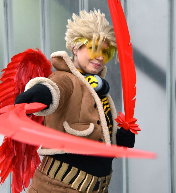 Thehedgehogmaniac – Urban Hawks