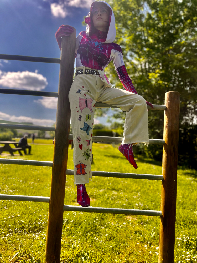 Spider butterfly  - Photo 19