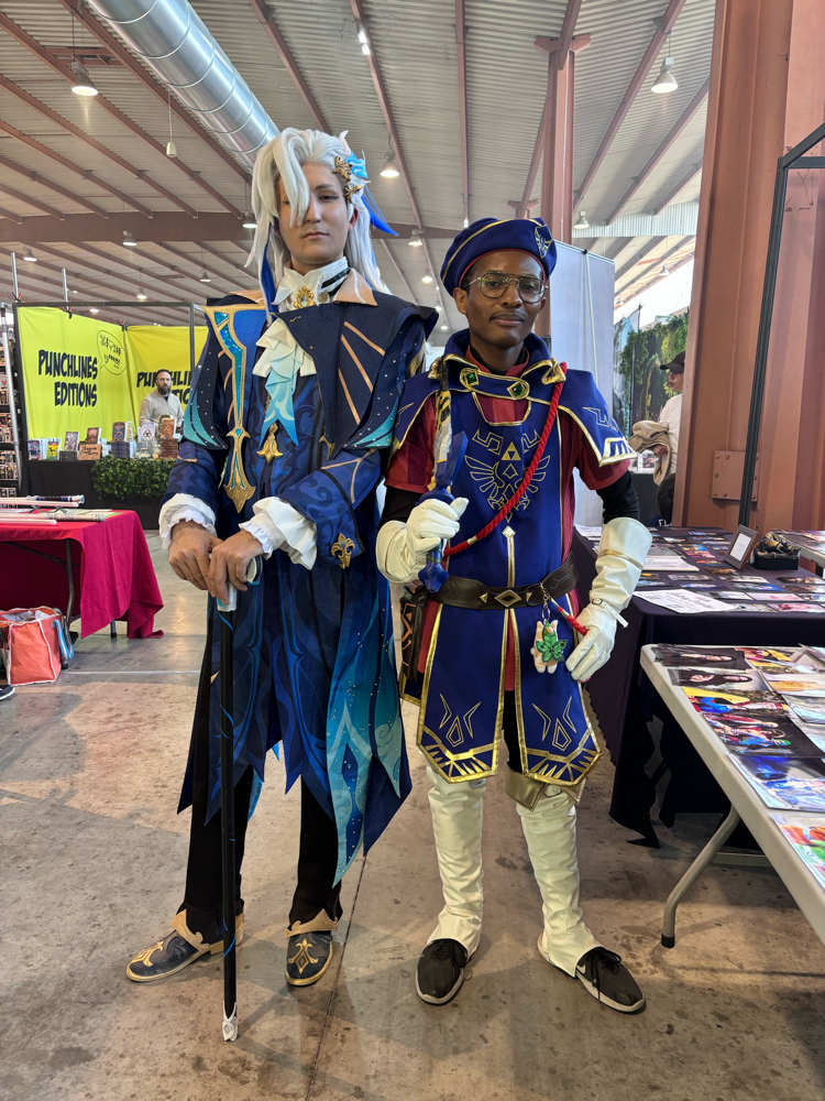 Link Royal Guard - Photo 3