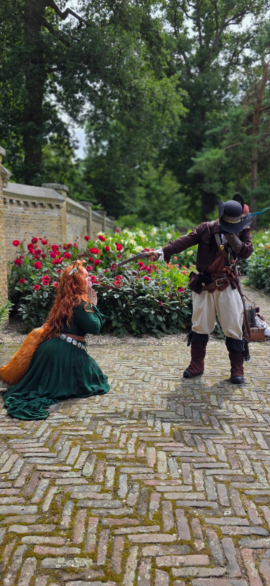 Summer fox  - Photo 6