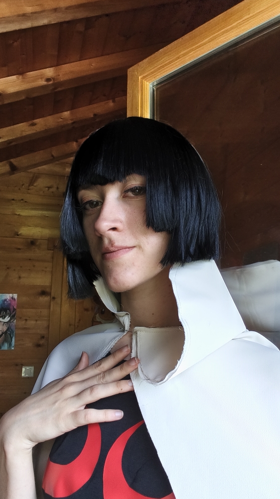 Amaryllis (costest) — photo 5