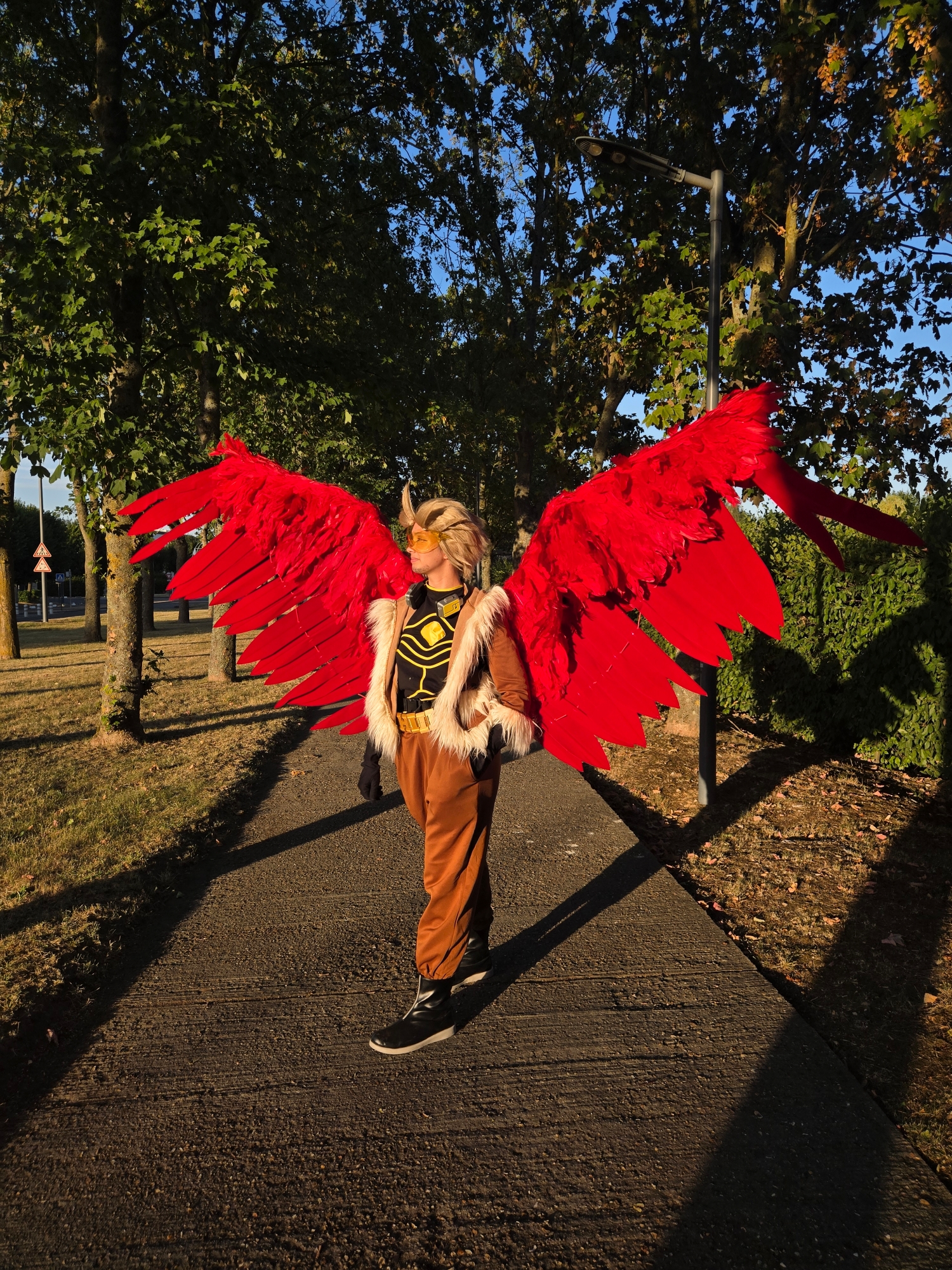 Hawks — photo 48