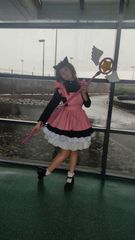 Sakura preview 2