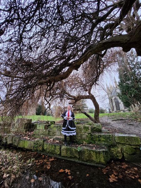 Lixie - Celestia ludenberg