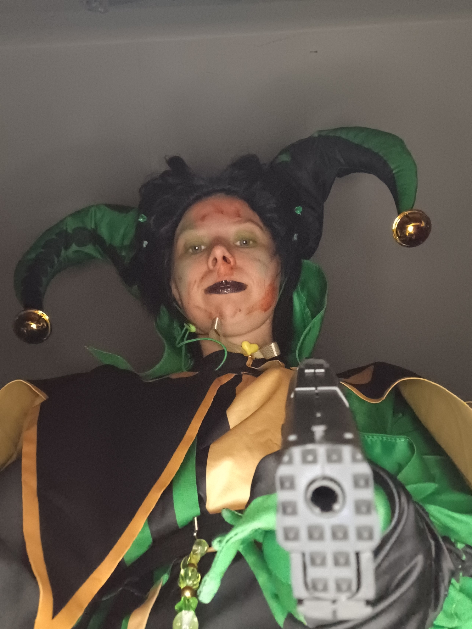 Harlequin, photo 34
