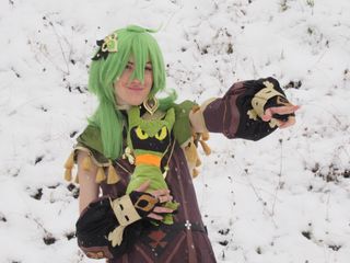 Collei (neige) preview 3
