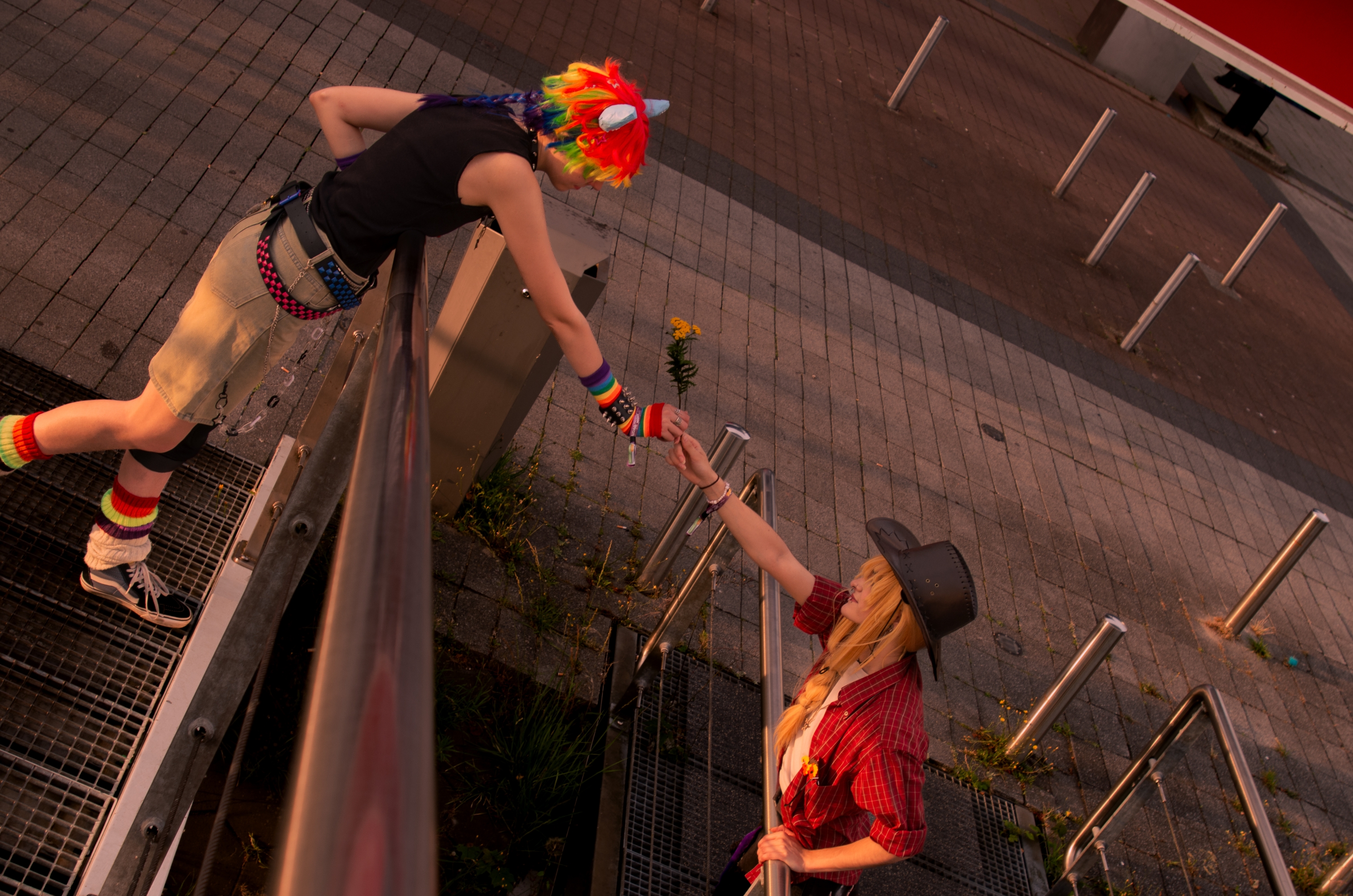 RainbowDash MLP - Photo 2