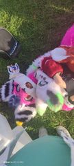 Folie furmeet preview 2
