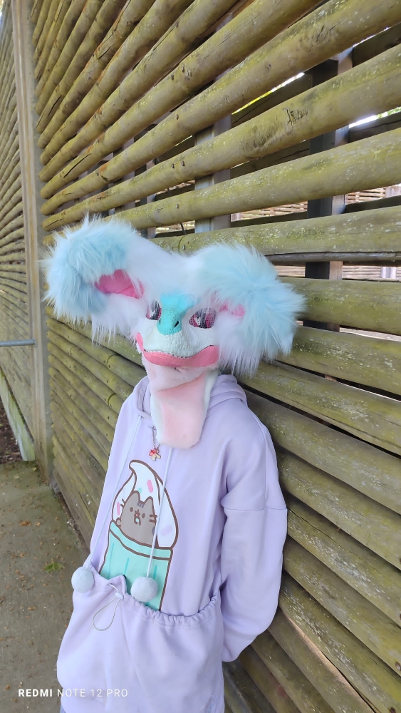 Debut du printemps  - Photo 31