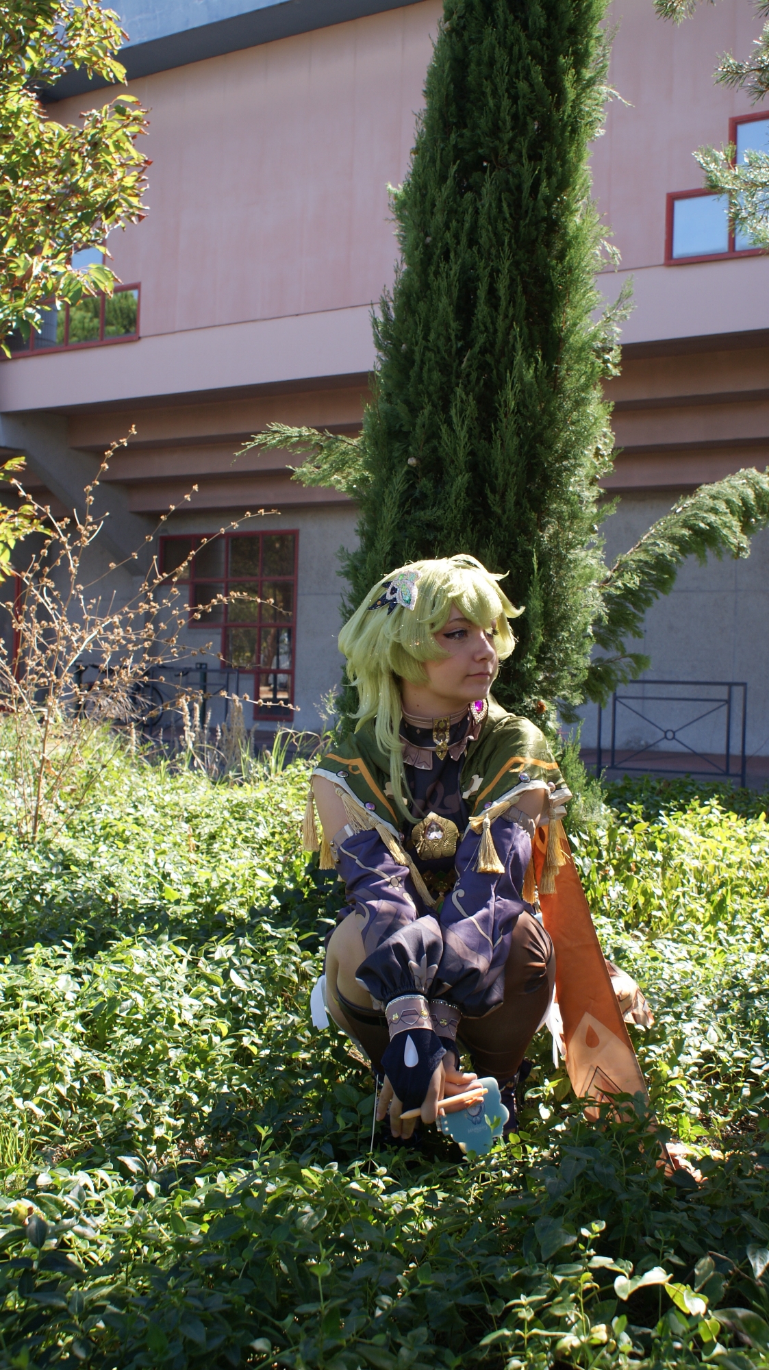 Collei — photo 30