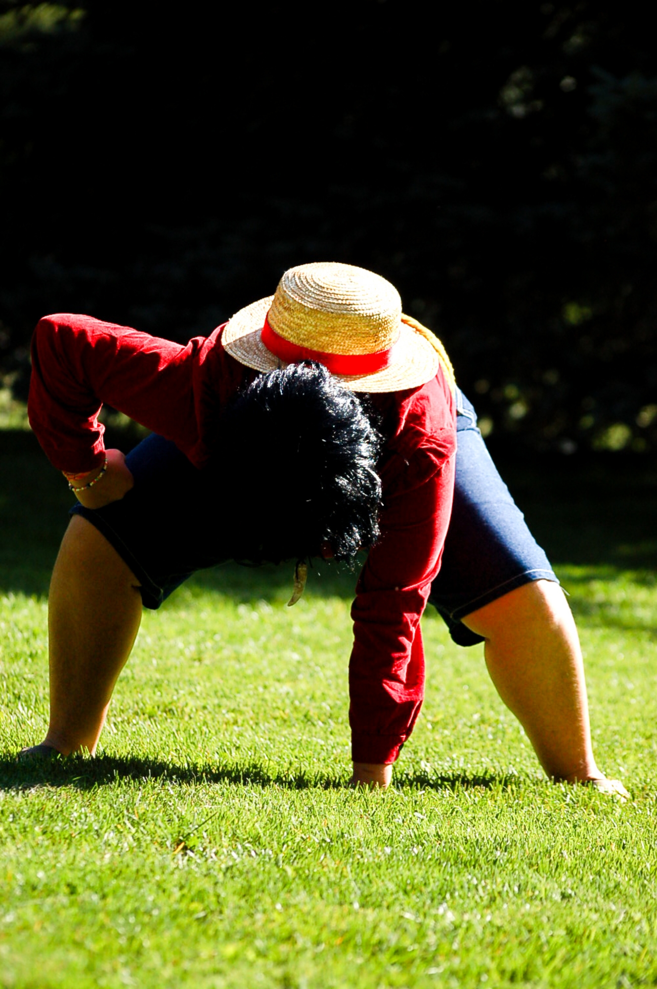 Luffy — photo 6