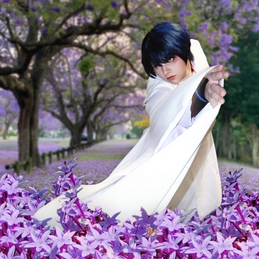 Wanderer/Scaramouche - Photo 20