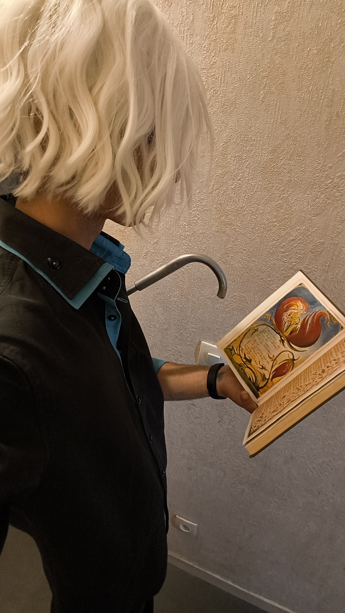 V — photo 14