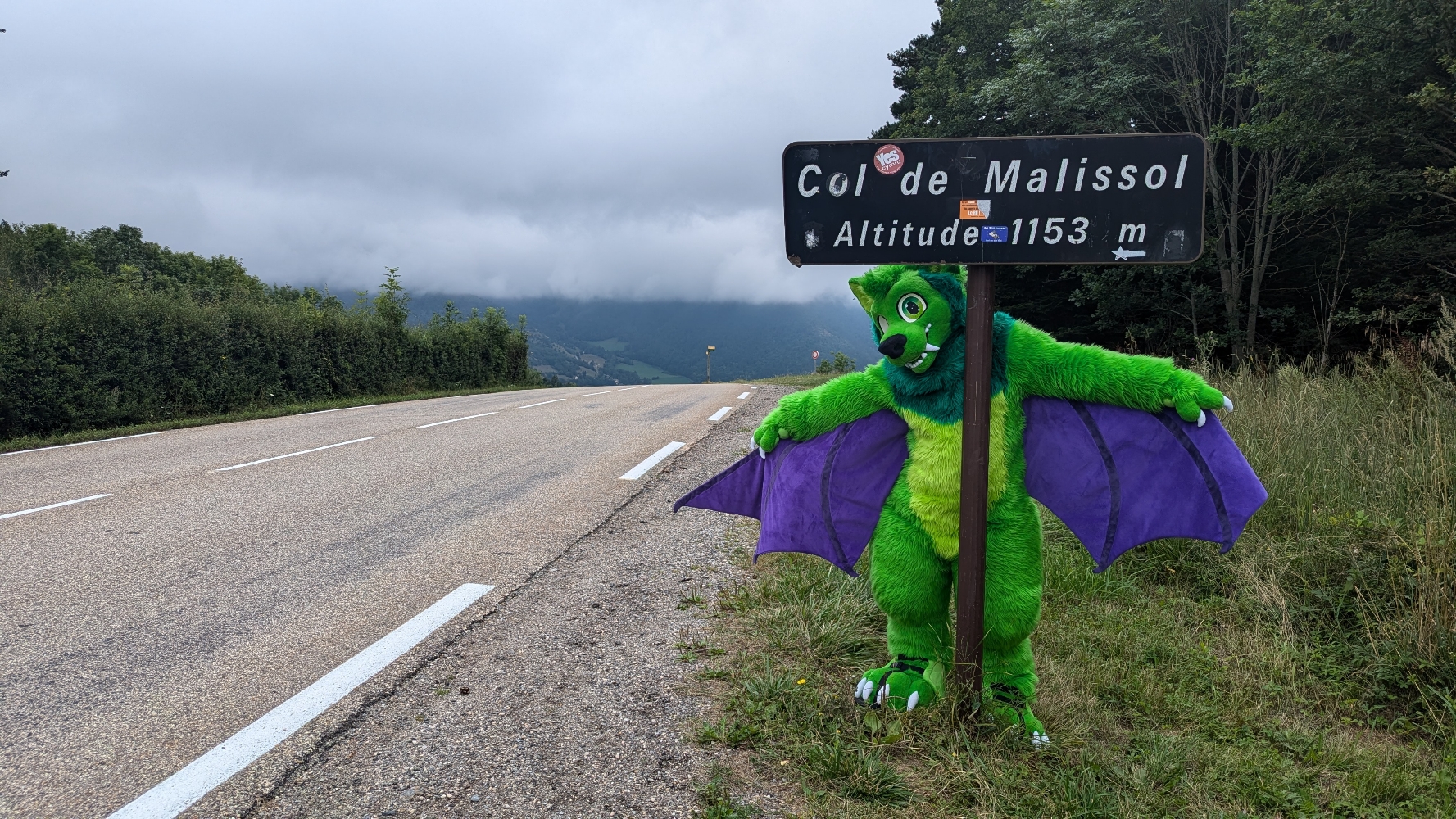 
A dark forest - Photo 11