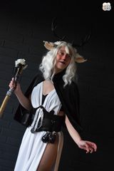 Faune noir et blanc preview 2