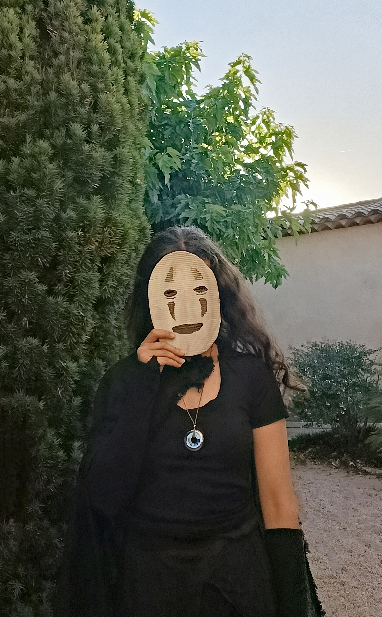 Sans Visage Humaine — photo 6