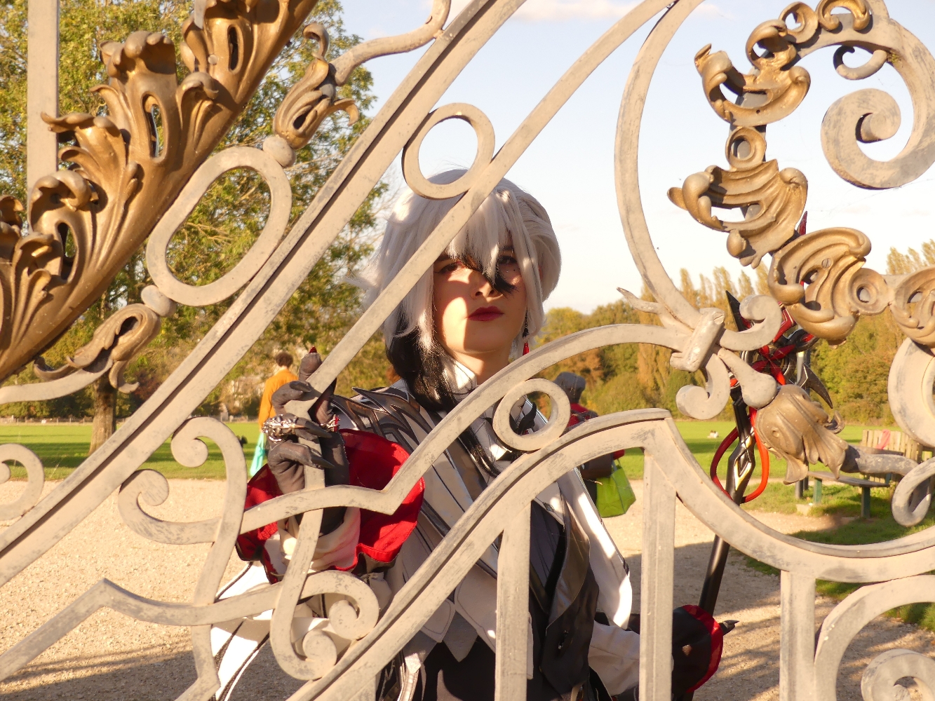 Arlecchino  - Photo 6