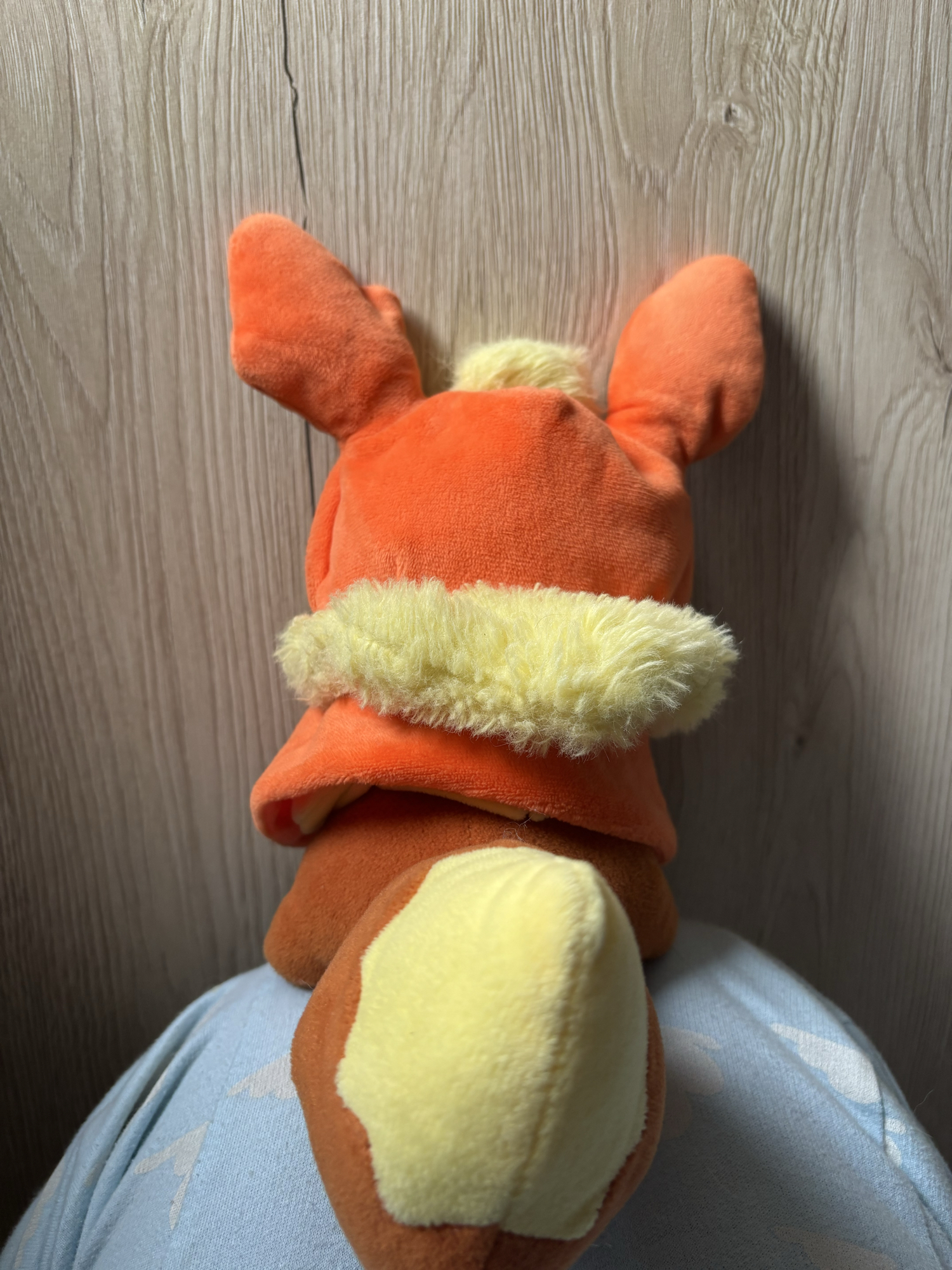 Evoli en Pyroli  - Photo 8