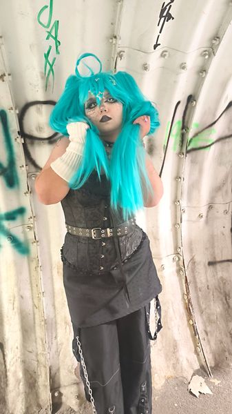 Dingadus_ - Miku