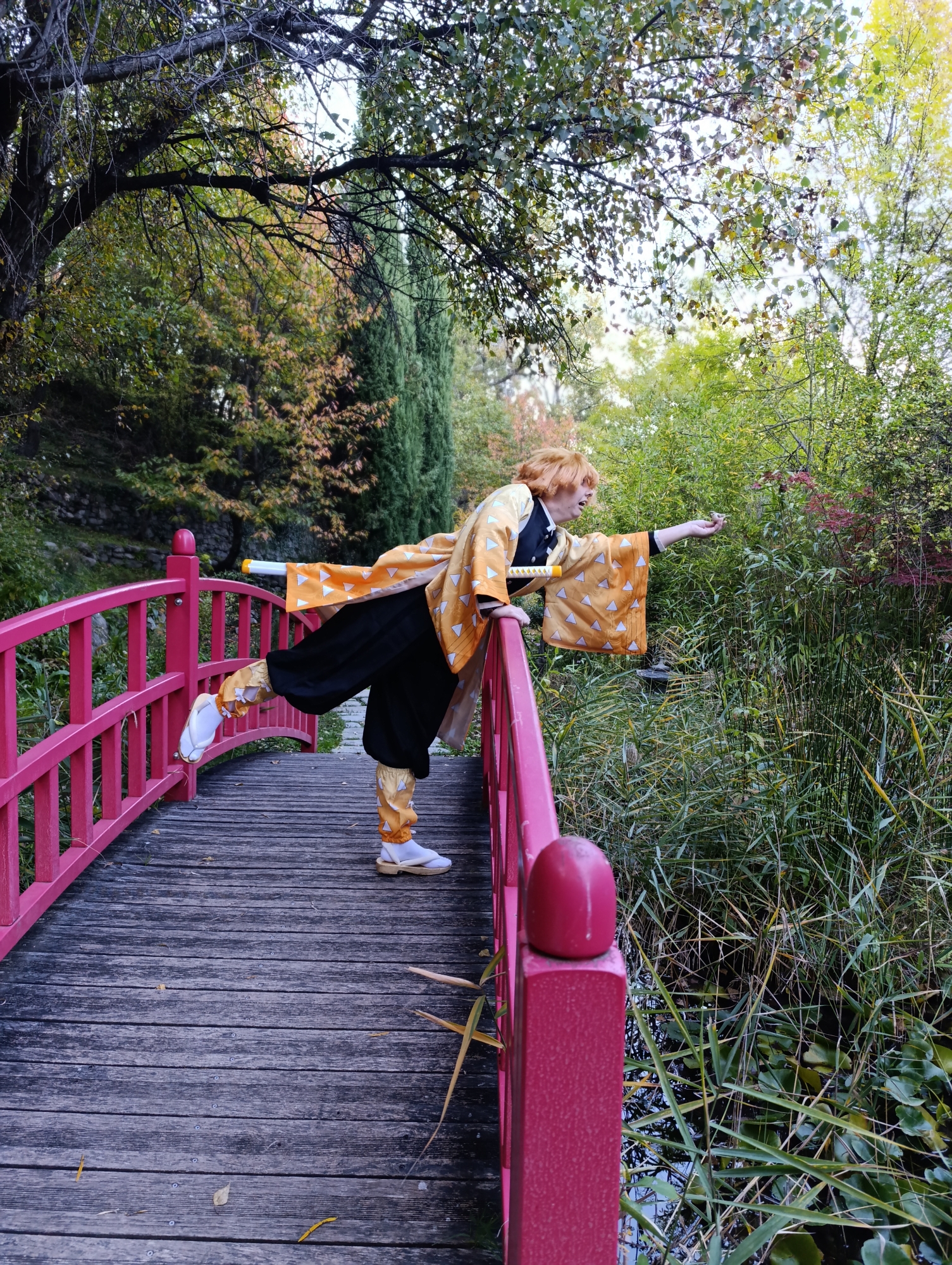Zenitsu — photo 5