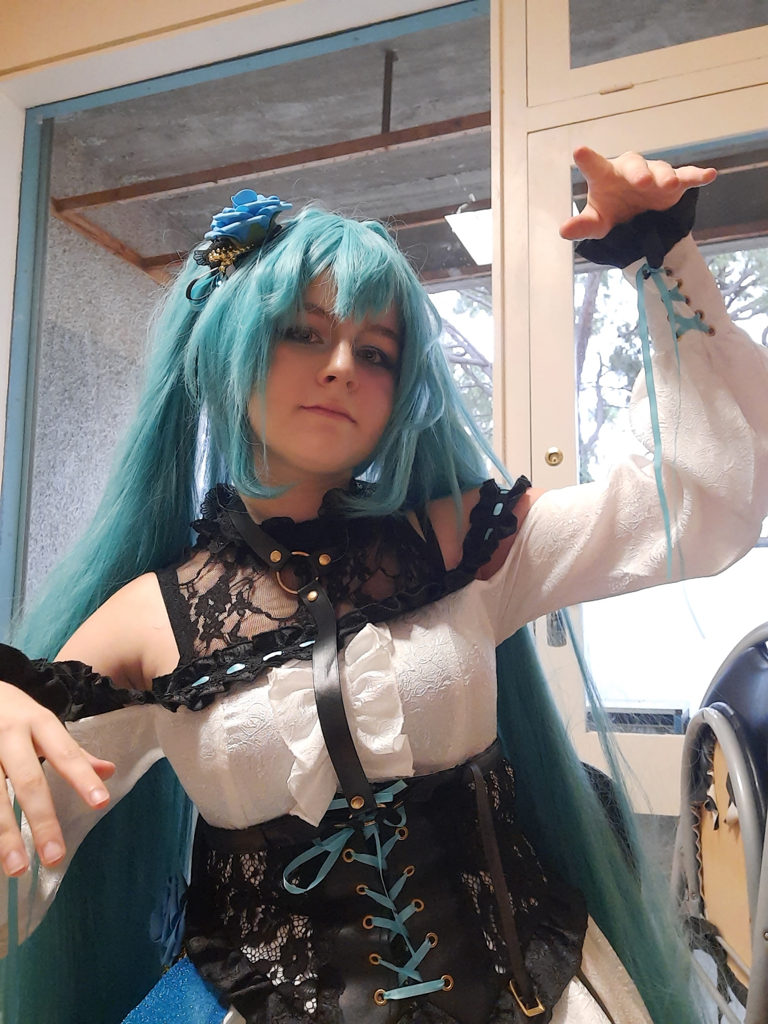 Miku — photo 6