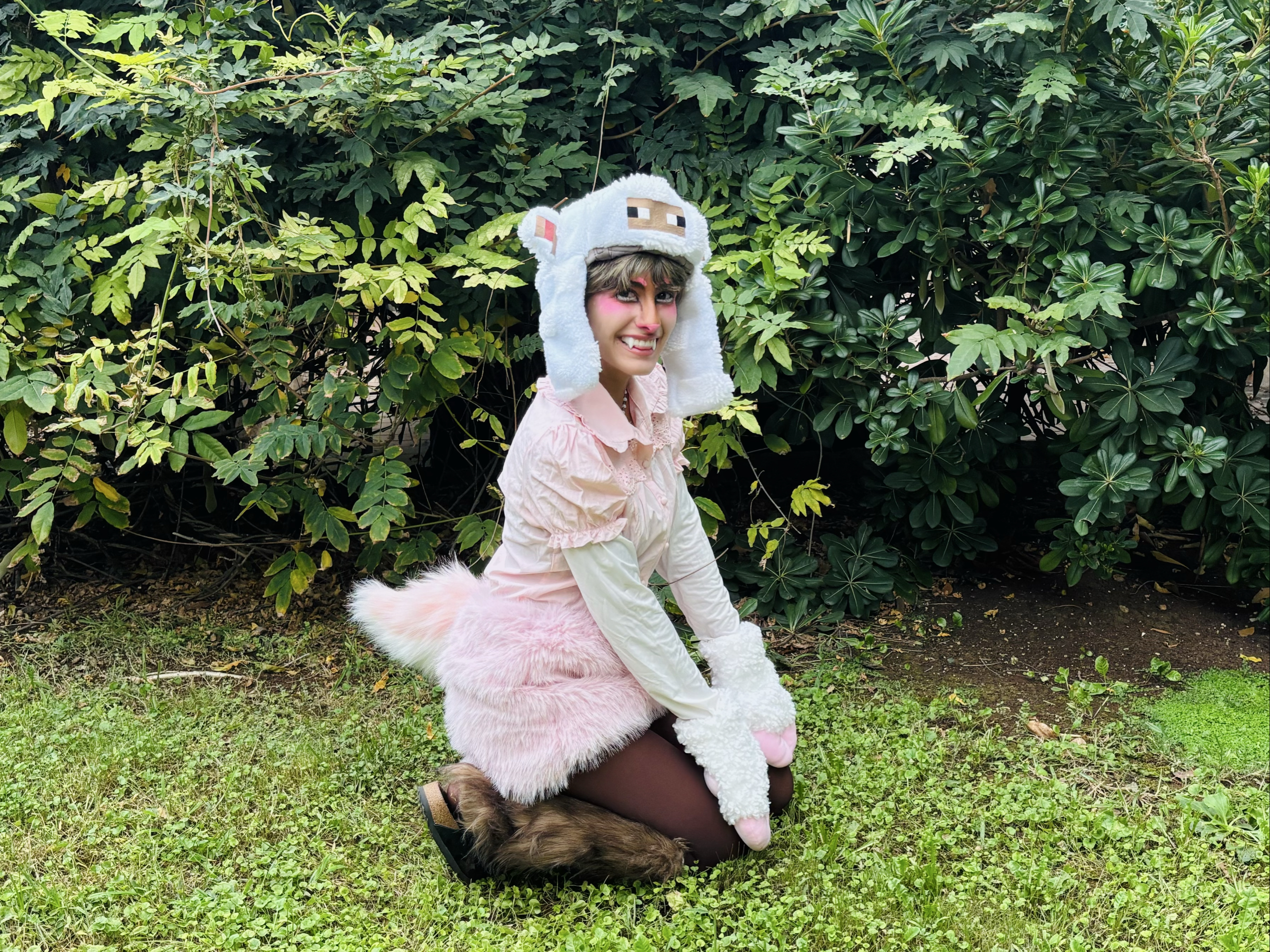 pink sheep — photo 9