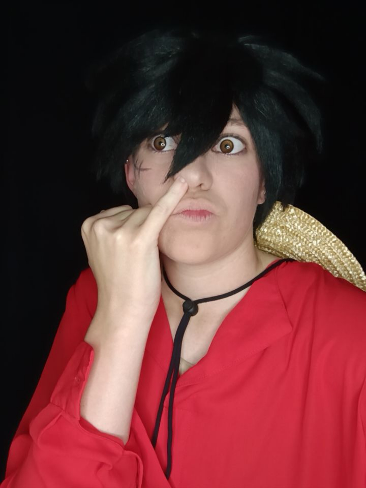 Luffy — photo 25