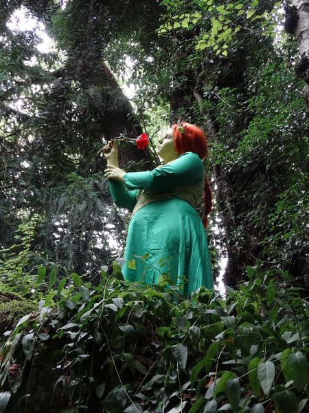 Morgane_arcaera_ - Fiona (shrek)