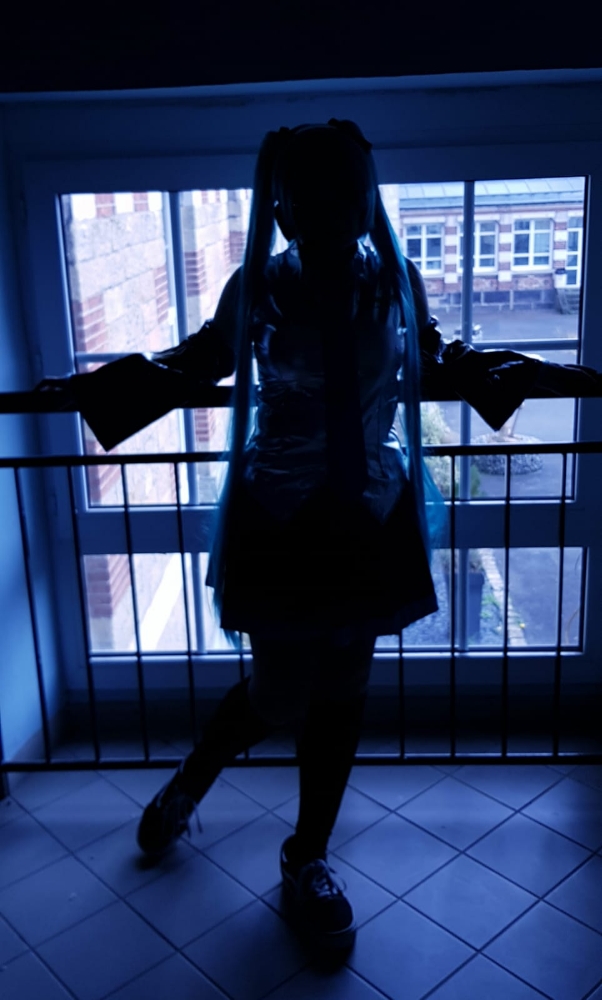 Hatsune miku — photo 11